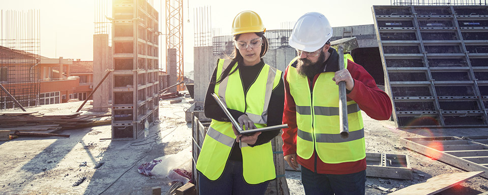 Bild zu Projektleiter SF-Bau (m/w/d)