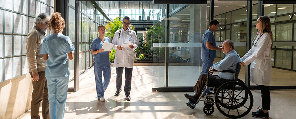 Bild zu Veterinärmediziner (m/w/d)